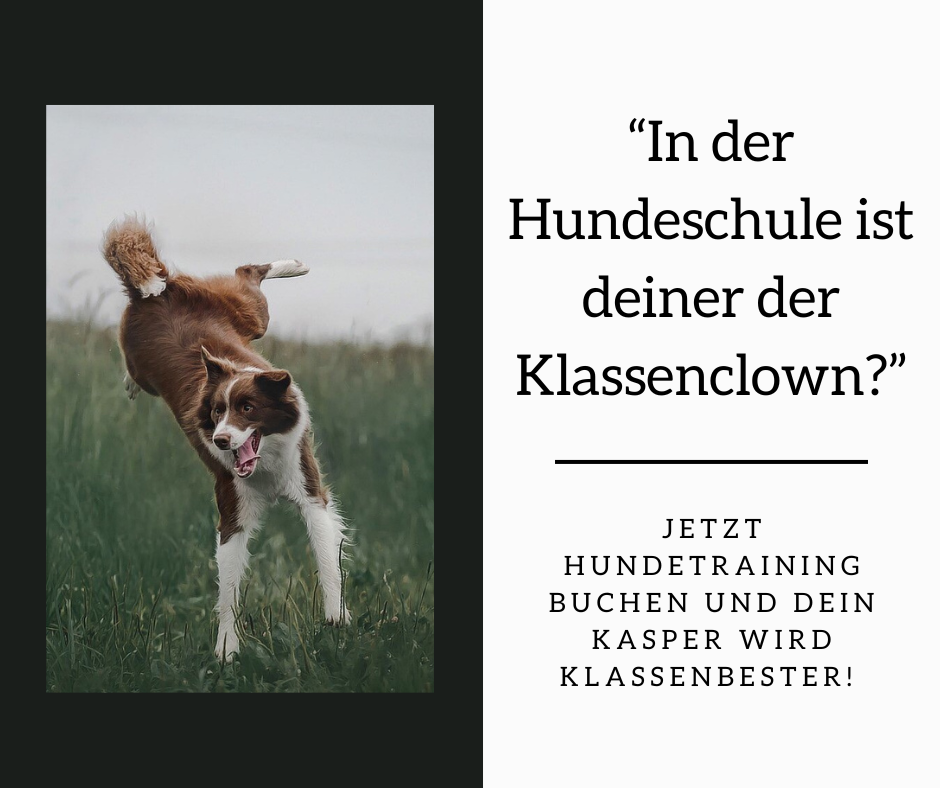 Klassenclown NEU Klassenclown NEU