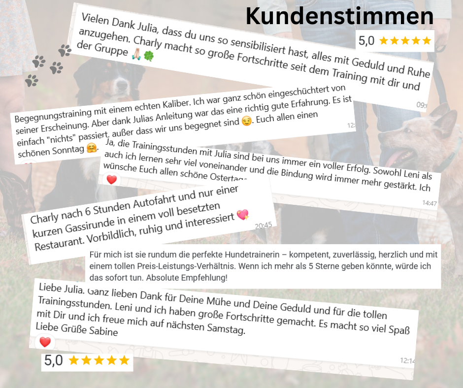 Dein Abschnittstext Dein Abschnittstext