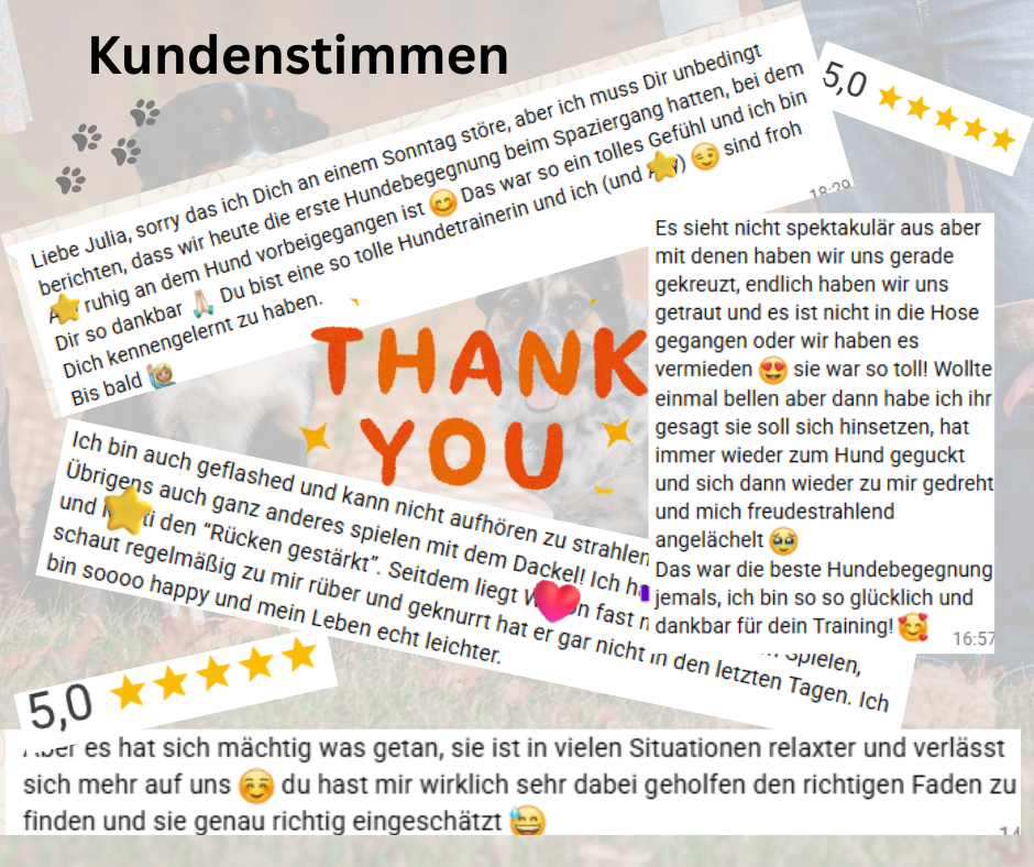 Kopie von Dein Abschnittstext(1)