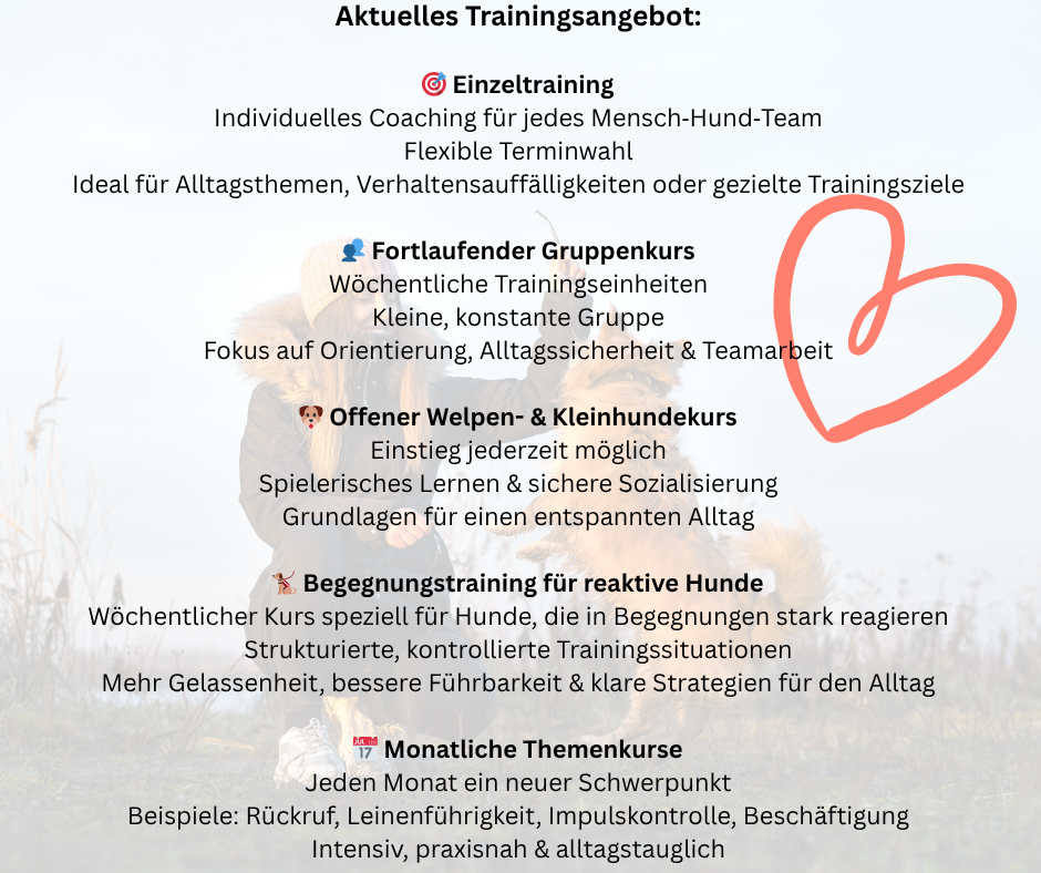 Kopie von Kopie von Kopie von Kopie von Kopie von Reflexion(3)