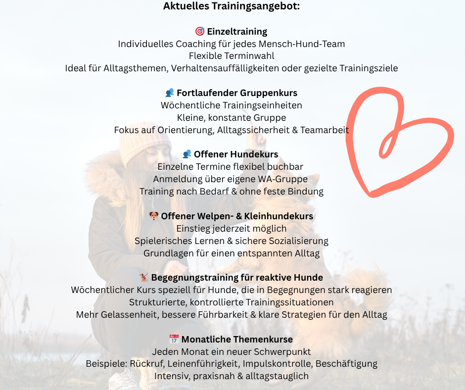 Kopie von Kopie von Kopie von Kopie von Kopie von Reflexion(5)